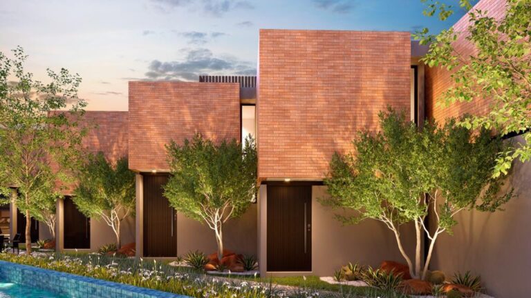 WhatsApp Image 2024-01-05 at 17.43.13